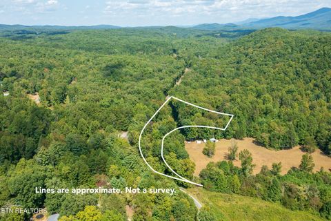 Tiny photo for TN-68, Tellico Plains, TN 37385 (MLS # 1332393)