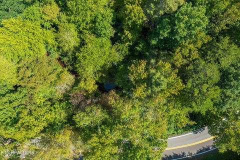Tiny photo for TN-68, Tellico Plains, TN 37385 (MLS # 1332393)