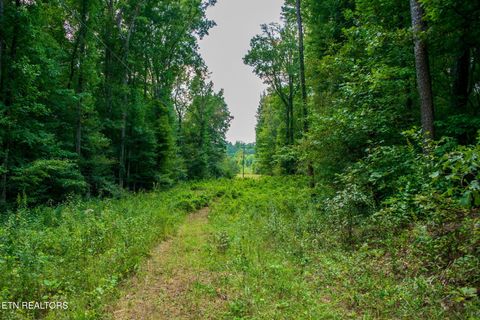 Tiny photo for TN-68, Tellico Plains, TN 37385 (MLS # 1332393)