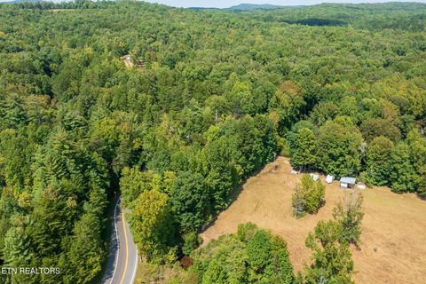 Tiny photo for TN-68, Tellico Plains, TN 37385 (MLS # 1332393)