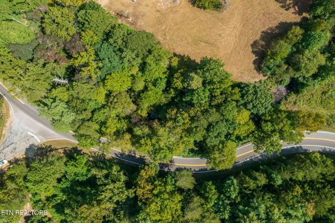 Tiny photo for TN-68, Tellico Plains, TN 37385 (MLS # 1332393)