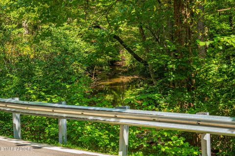Tiny photo for TN-68, Tellico Plains, TN 37385 (MLS # 1332393)