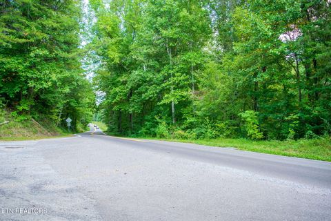 Tiny photo for TN-68, Tellico Plains, TN 37385 (MLS # 1332393)