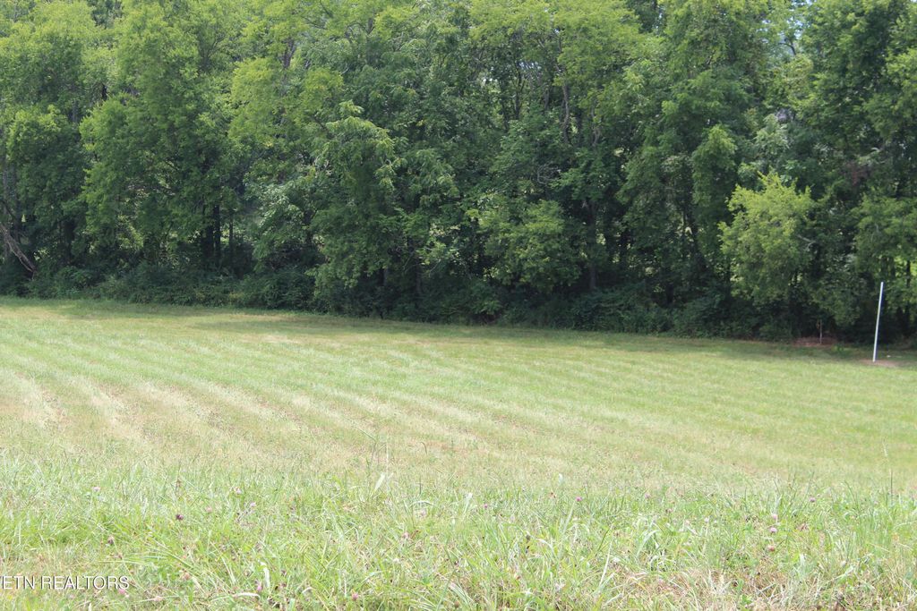 Photo of 638 Winding Creek Way, Walland, TN 37886 (MLS # 1319160)