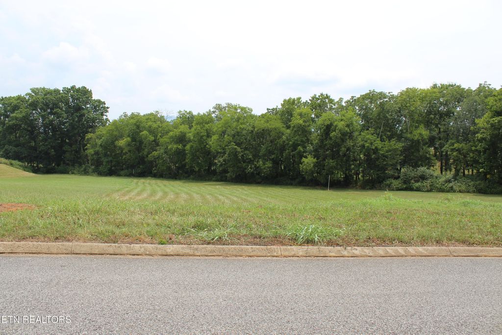 Photo of 638 Winding Creek Way, Walland, TN 37886 (MLS # 1319160)
