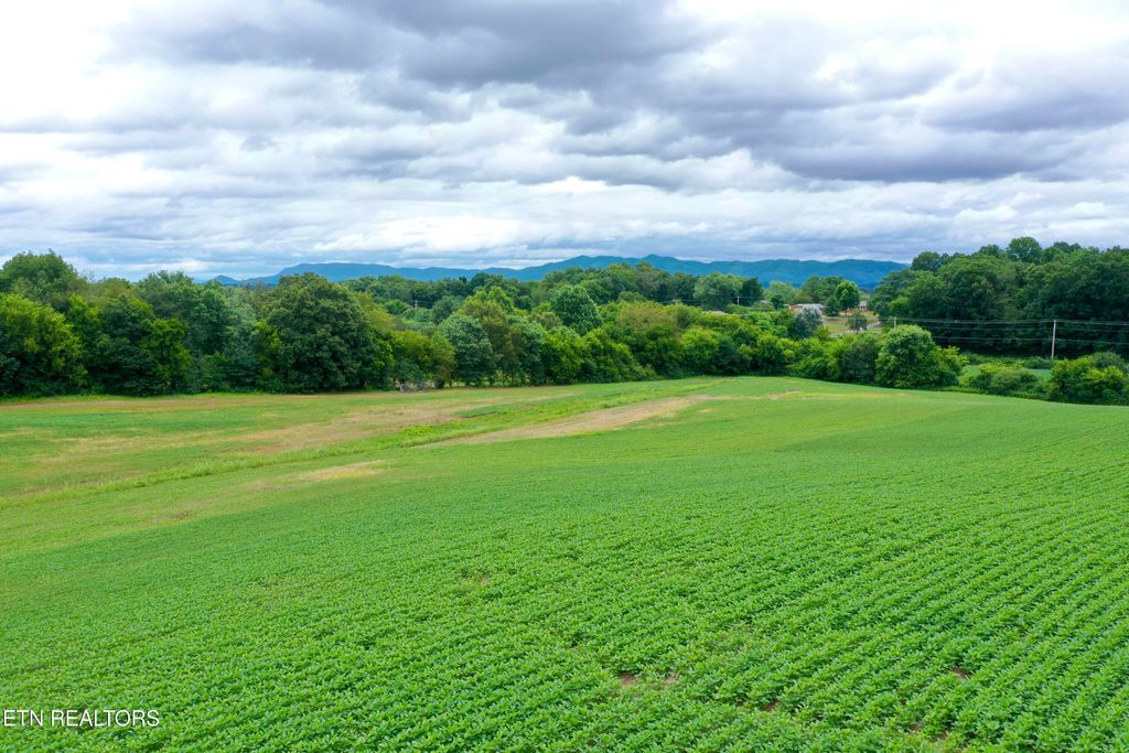 Photo of 141 Saratoga Drive, Maryville, TN 37804 (MLS # 1318698)