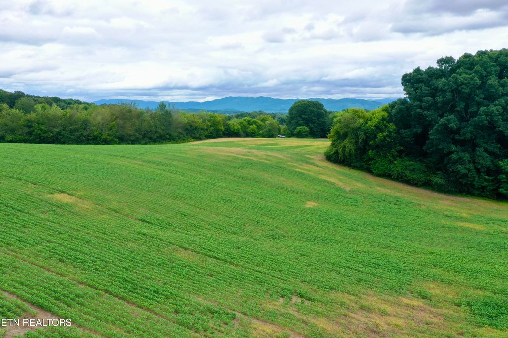 Photo of 141 Saratoga Drive, Maryville, TN 37804 (MLS # 1318698)