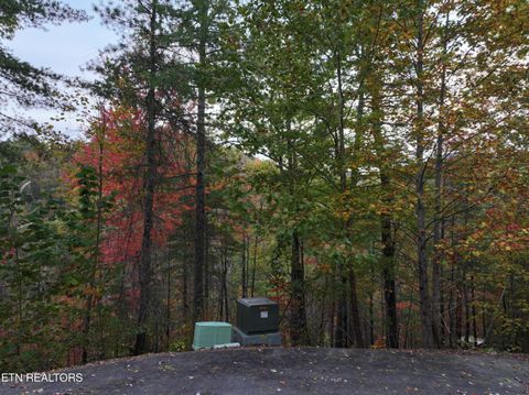 Featured picture for the property 1304431
