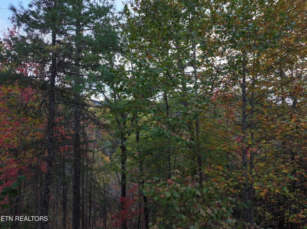 Photo of 18 Turkey Creek Way, Sevierville, TN 37862 (MLS # 1304431)