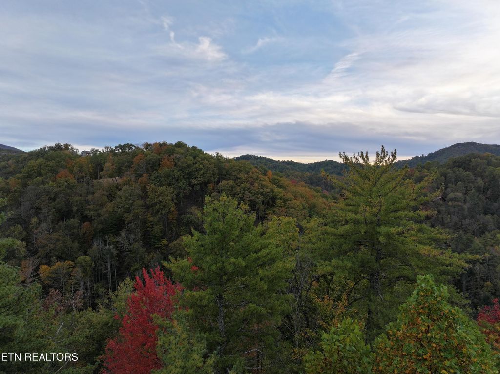 Photo of 18 Turkey Creek Way, Sevierville, TN 37862 (MLS # 1304431)