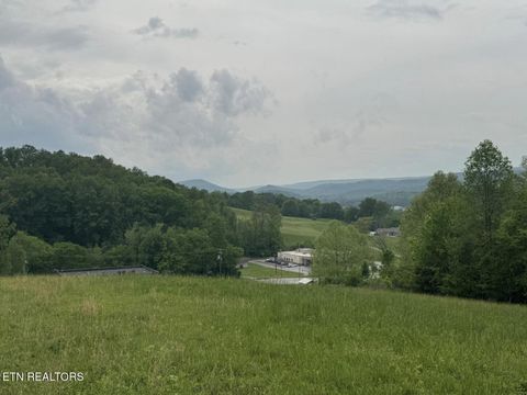 Tiny photo for 4 Brookstone Heights Lane, Dayton, TN 37321 (MLS # 1337570)
