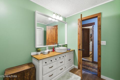 Tiny photo for 375 County Road 316, Niota, TN 37826 (MLS # 1327867)