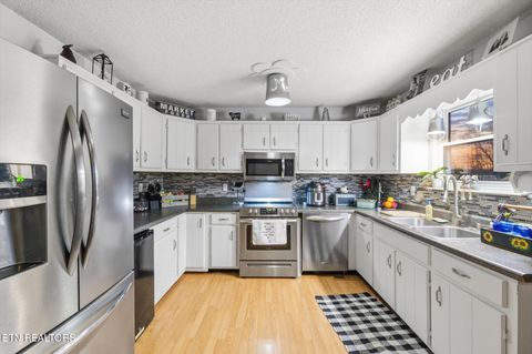 Tiny photo for 375 County Road 316, Niota, TN 37826 (MLS # 1327867)