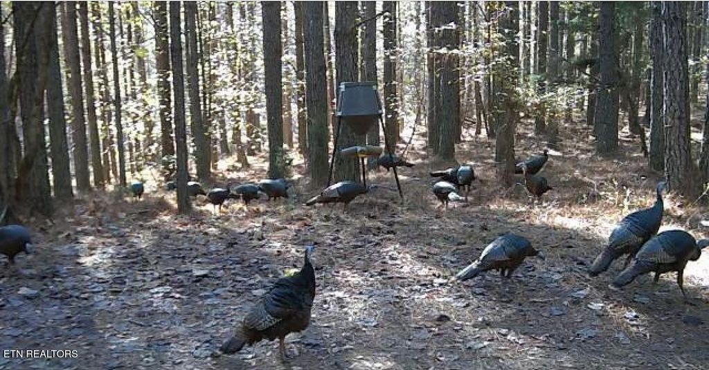 Photo of 4875 New Union Rd, Dayton, TN 37321 (MLS # 1301694)