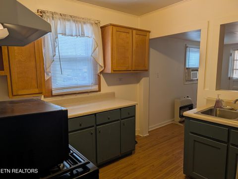 Tiny photo for 625 W Rhea Ave, Spring City, TN 37381 (MLS # 1328069)