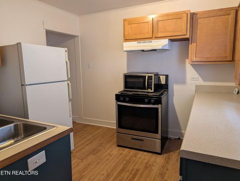 Tiny photo for 625 W Rhea Ave, Spring City, TN 37381 (MLS # 1328069)