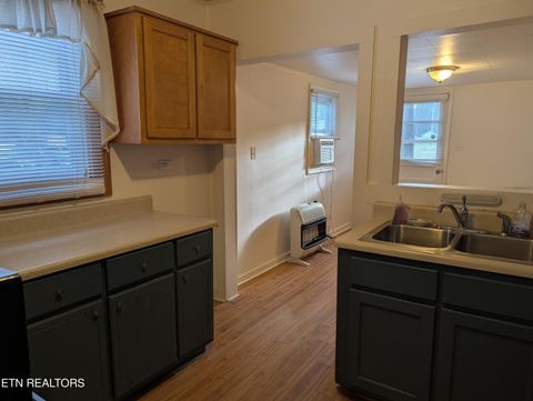 Tiny photo for 625 W Rhea Ave, Spring City, TN 37381 (MLS # 1328069)