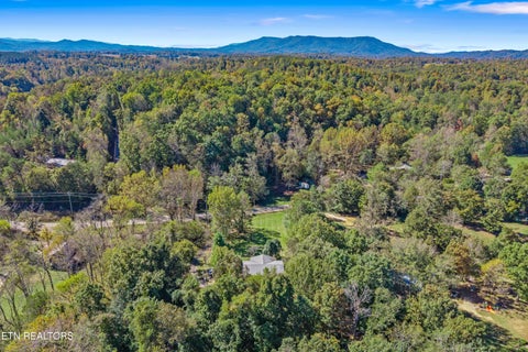 Tiny photo for 647 Gamble Gap Rd, Tellico Plains, TN 37385 (MLS # 1360008)