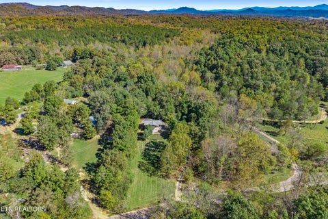 Tiny photo for 647 Gamble Gap Rd, Tellico Plains, TN 37385 (MLS # 1360008)
