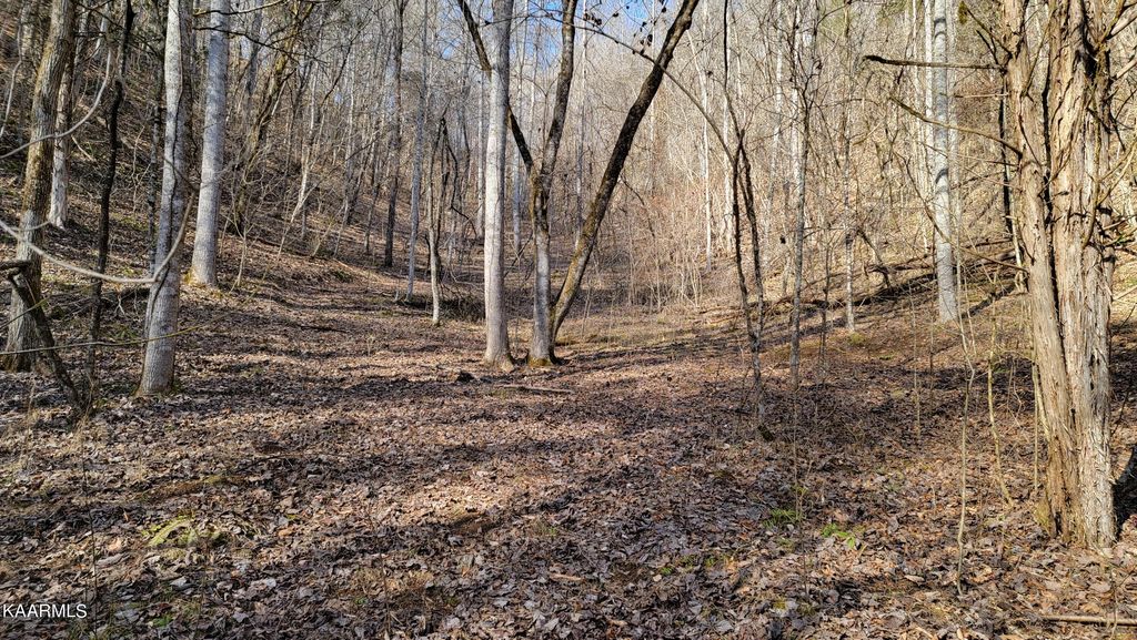 Photo of 229 Sharps Hollow Holw, Tazewell, TN 37879 (MLS # 1217341)