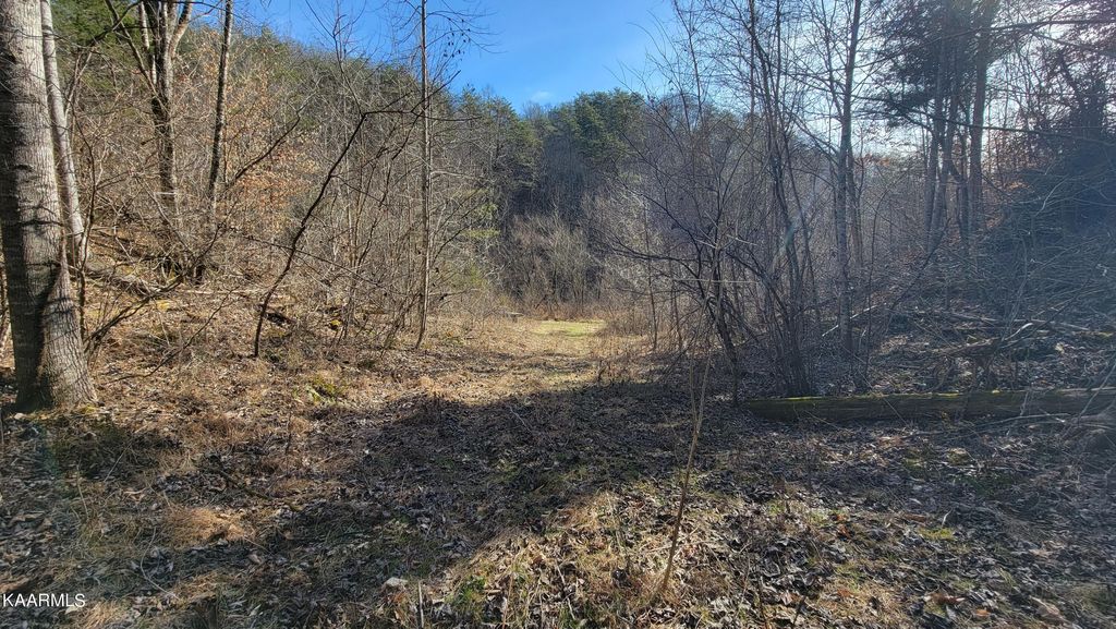 Photo of 229 Sharps Hollow Holw, Tazewell, TN 37879 (MLS # 1217341)