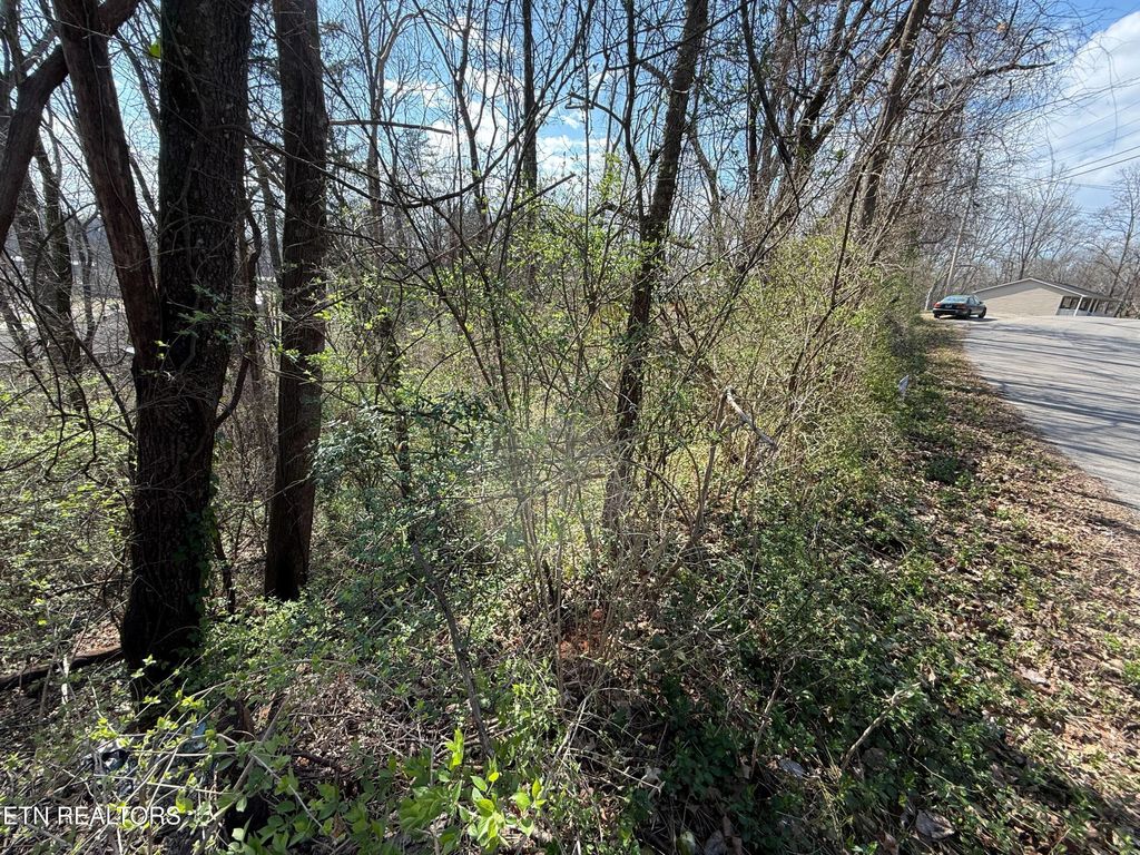Photo of Highland Rd, Maryville, TN 37801 (MLS # 1334809)