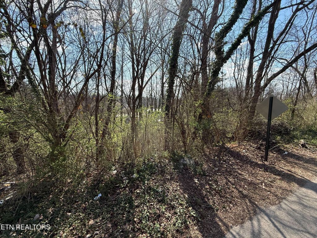 Photo of Highland Rd, Maryville, TN 37801 (MLS # 1334809)