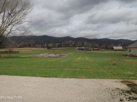 Tiny photo for 148 AUGGIE BELLE Lane, Speedwell, TN 37870 (MLS # 1332274)