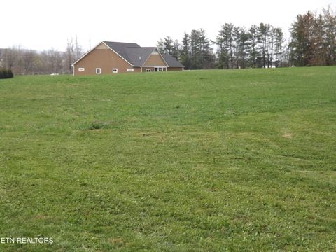 Tiny photo for 148 AUGGIE BELLE Lane, Speedwell, TN 37870 (MLS # 1332274)