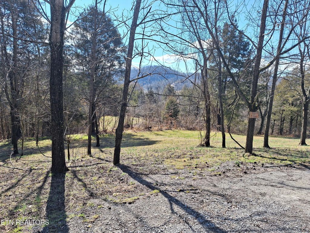 Photo of 383 Wild Turkey Lane Lane, Maynardville, TN 37807 (MLS # 1253692)