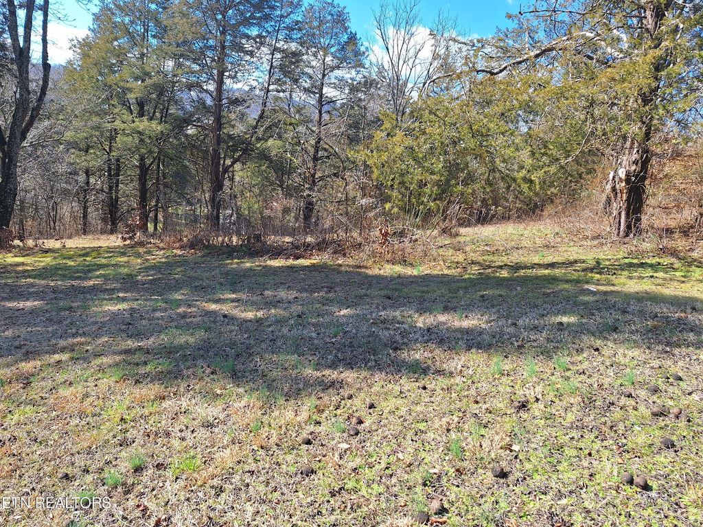 Photo of 383 Wild Turkey Lane Lane, Maynardville, TN 37807 (MLS # 1253692)