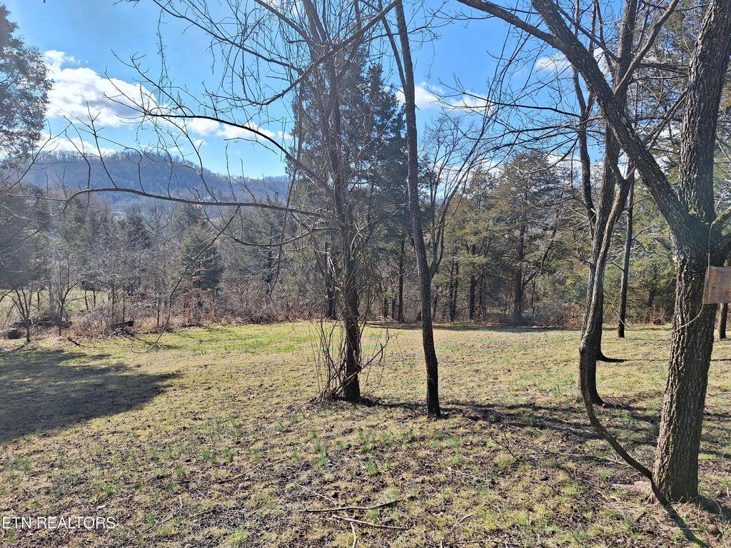 Photo of 383 Wild Turkey Lane Lane, Maynardville, TN 37807 (MLS # 1253692)