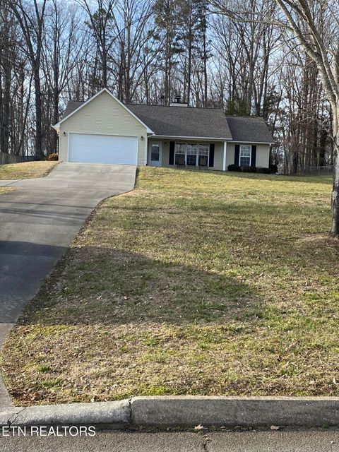 Photo of 233 Shenendoah Drive, Friendsville, TN 37737 (MLS # 1329212)