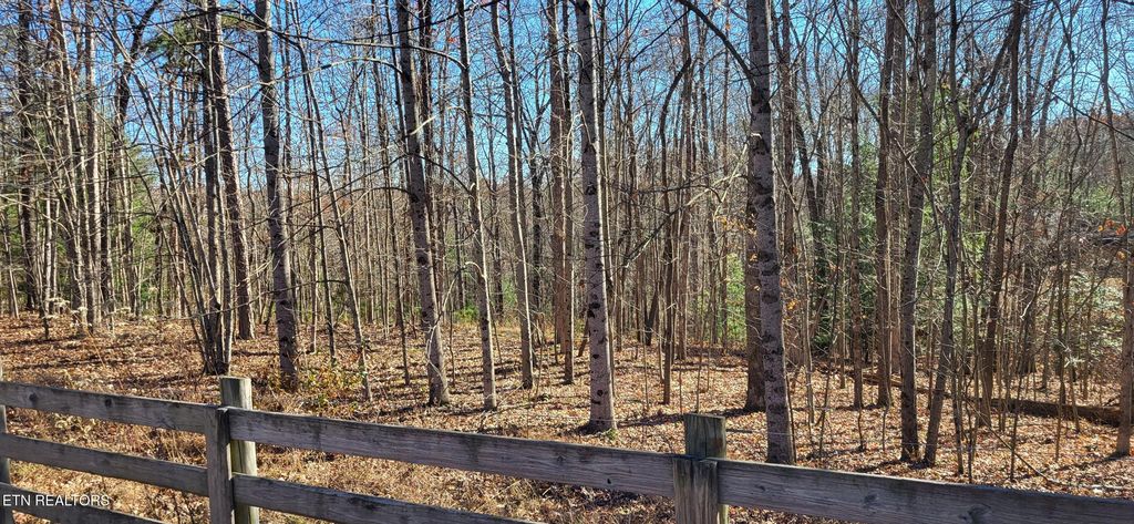 Photo of Lot # 170 Saddle DR, Jamestown, TN 38556 (MLS # 1324808)