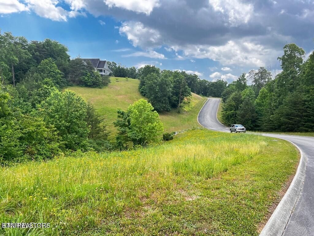Photo of 6219 Outlook Tr, Russellville, TN 37860 (MLS # 1339142)