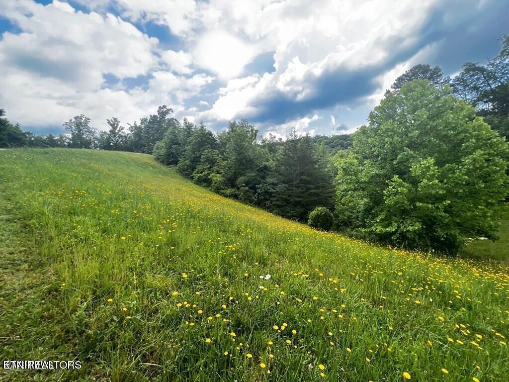 Photo of 6219 Outlook Tr, Russellville, TN 37860 (MLS # 1339142)