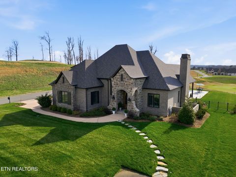 Photo of 250 Bower Court, Lenoir City, TN 37772 (MLS # 1337302)