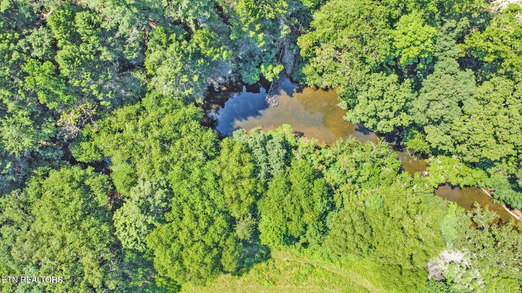 Photo of Daddys Creek Tr, Crab Orchard, TN 37723 (MLS # 1353157)
