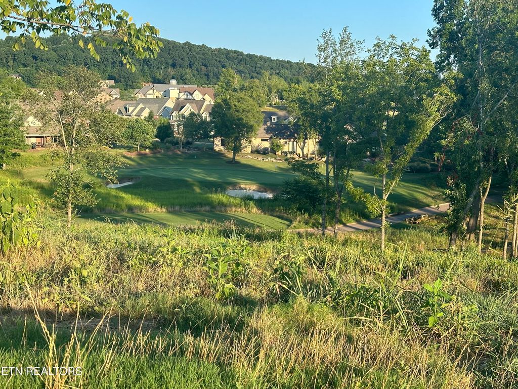 Photo of 987 Mockingbird Lane, Loudon, TN 37774 (MLS # 1332549)