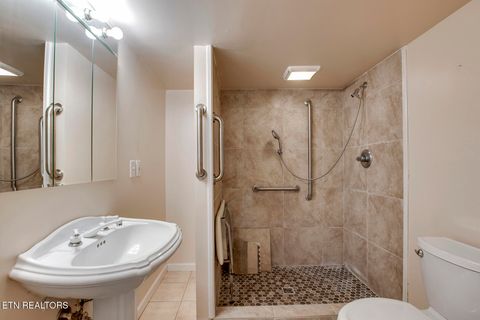 Tiny photo for 902 Carding Machine Rd, Loudon, TN 37774 (MLS # 1342221)