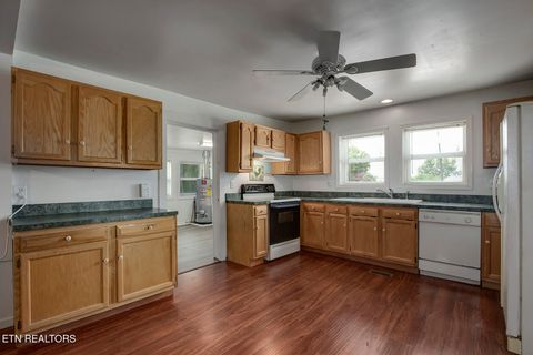 Tiny photo for 902 Carding Machine Rd, Loudon, TN 37774 (MLS # 1342221)