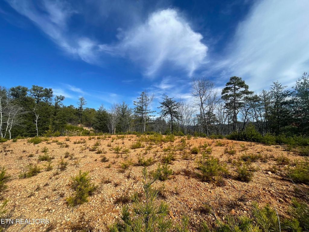Photo of 36 Bullet Mountain Drive, Tellico Plains, TN 37385 (MLS # 1326415)
