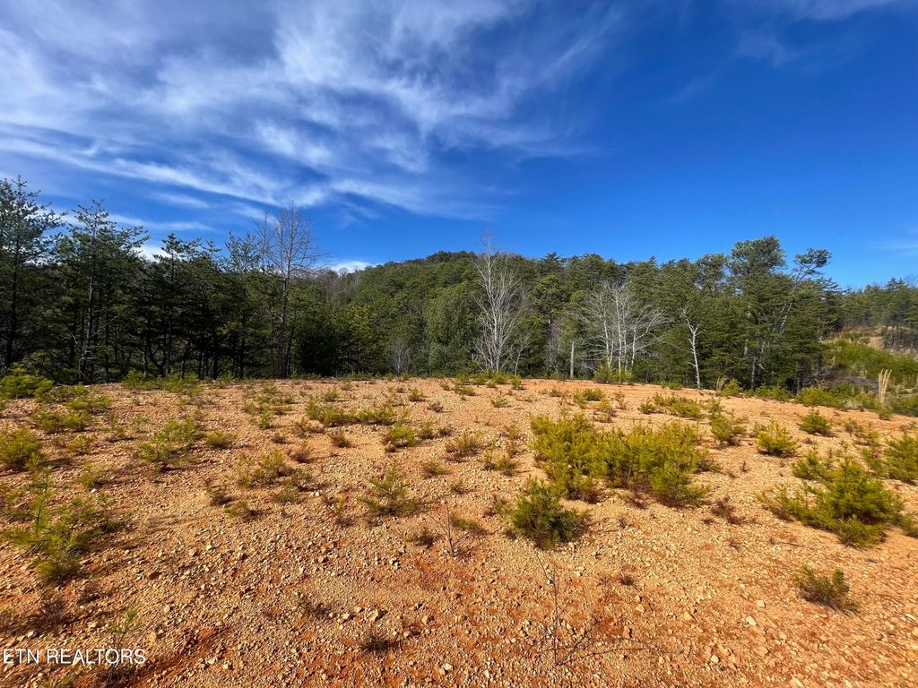 Photo of 36 Bullet Mountain Drive, Tellico Plains, TN 37385 (MLS # 1326415)