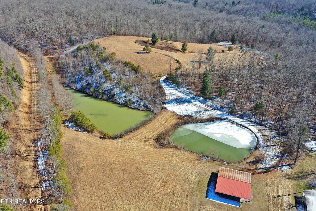 Photo of 1552 Baker Hwy, Huntsville, TN 37756 (MLS # 1286747)