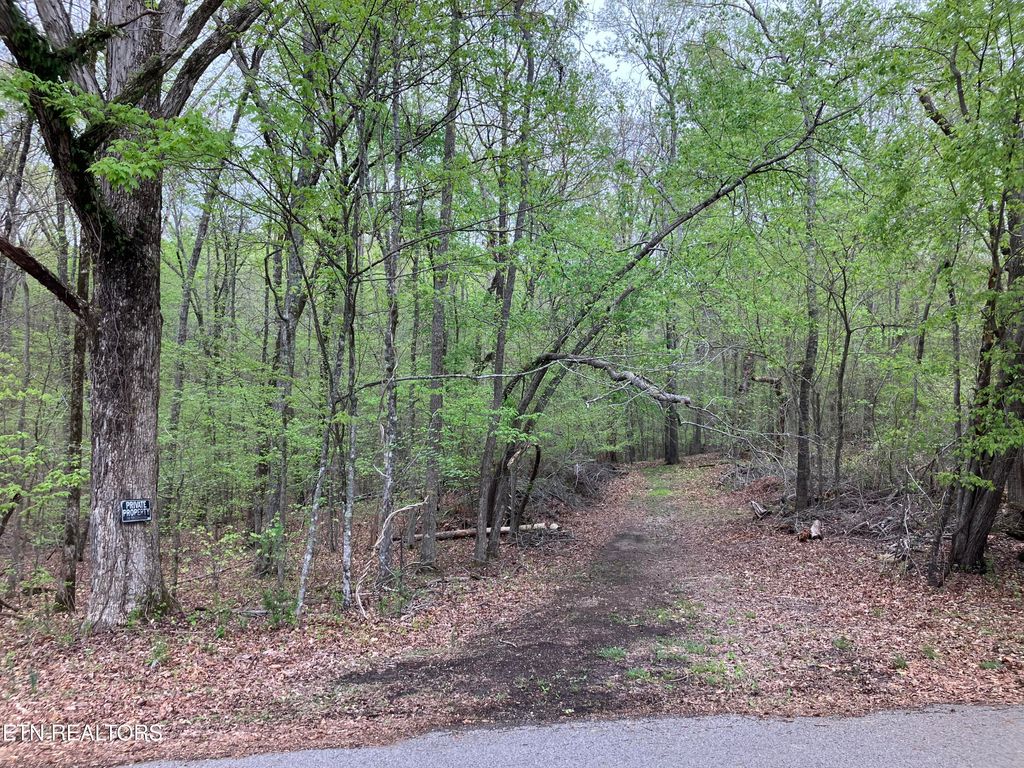 Photo of 11 Eagle Point Drive, Rockwood, TN 37854 (MLS # 1296674)