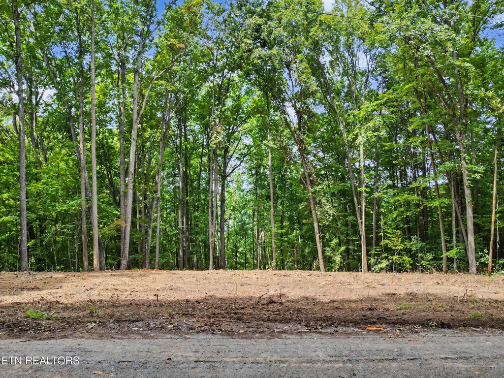 Photo of Tumbling Run Estates, Maynardville, TN 37807 (MLS # 1353379)