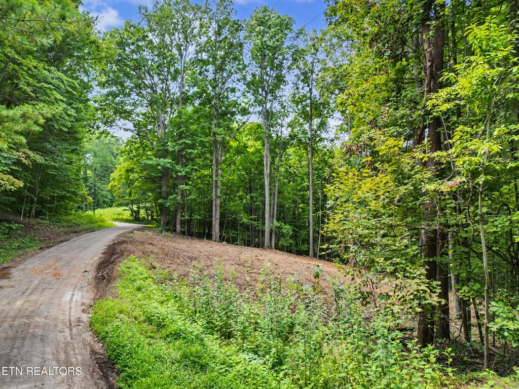 Photo of Tumbling Run Estates, Maynardville, TN 37807 (MLS # 1353379)
