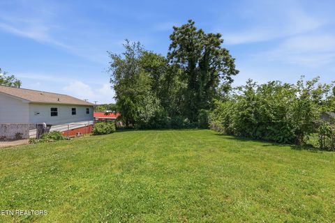 Tiny photo for 2446 Brown Ave, Knoxville, TN 37917 (MLS # 1341239)