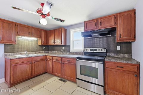 Tiny photo for 2446 Brown Ave, Knoxville, TN 37917 (MLS # 1341239)