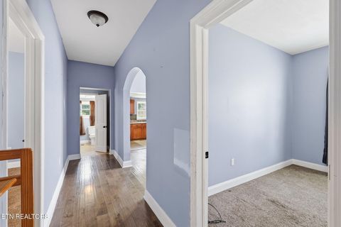 Tiny photo for 2446 Brown Ave, Knoxville, TN 37917 (MLS # 1341239)